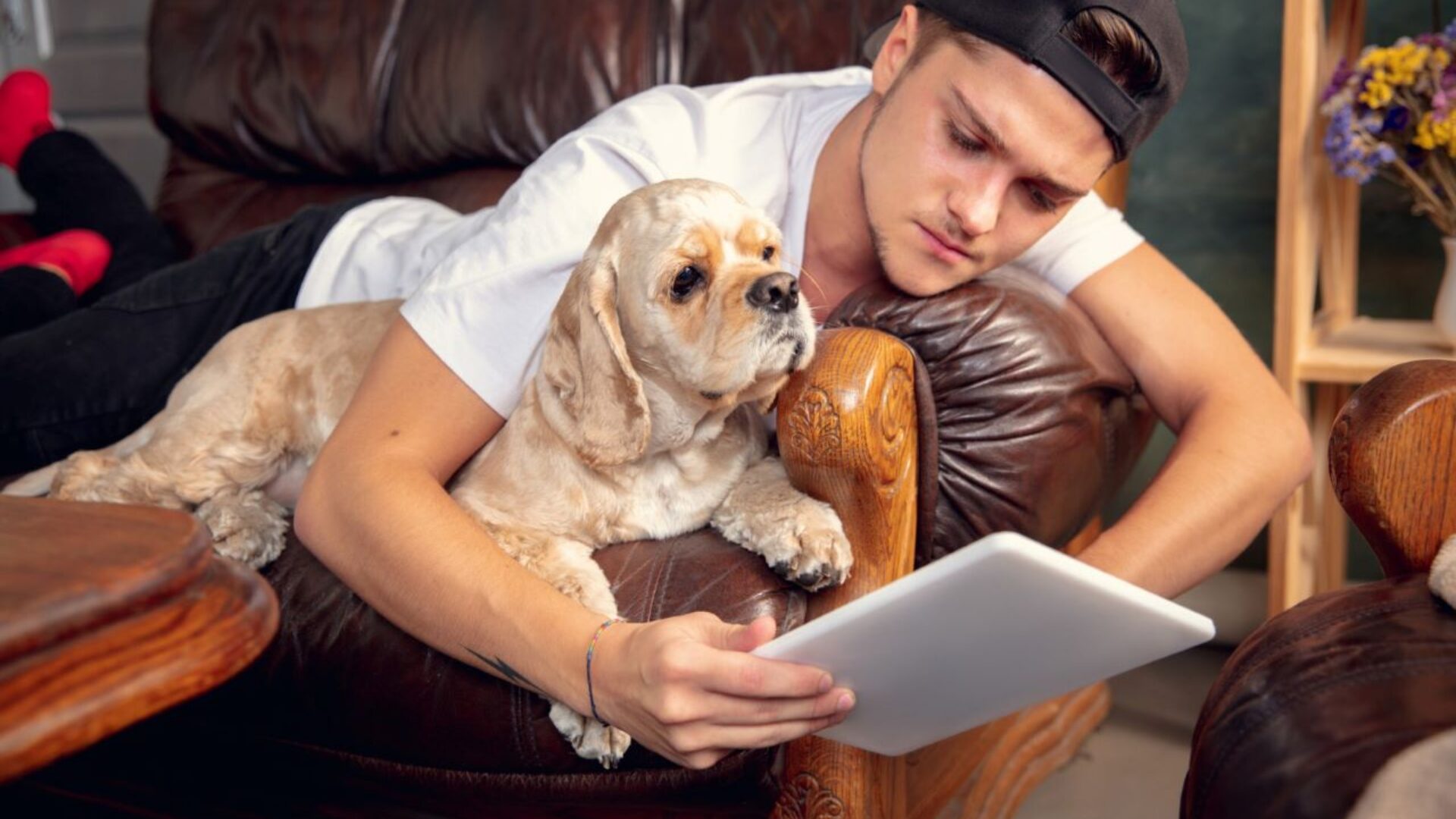 Consejos Financieros para dueños de mascotas: asegura el bienestar de tu amigo peludo sin afectar tu bolsillo